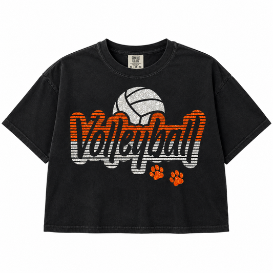 Custom School Spirit Volleyball Glitter Tee
